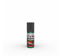 Vaillant Green 17ml - Real Color RC848 - AK Interactive