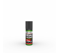 Ninja Green 17ml - Real Color RC849 - AK Interactive