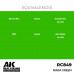 Ninja Green 17ml - Real Color RC849 - AK Interactive