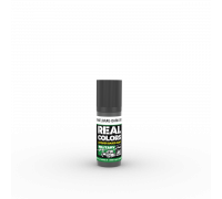 Dunkelgrau-Dark Grey RAL 7021 17ml - Real Color RC856 - AK Interactive