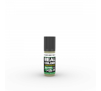 Silver Grey No.28 (BS381) 17ml - Real Color RC866 - AK Interactive