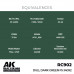 Dull Dark Green FS 34092 17ml - Real Color RC902 - AK Interactive
