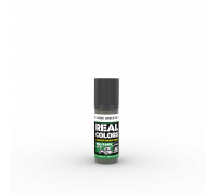 USMC Green FS 34095 17ml - Real Color RC903 - AK Interactive