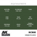 Green FS 34102 17ml - Real Color RC905 - AK Interactive