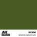 Interior Green FS 34151 17ml - Real Color RC906 - AK Interactive
