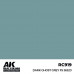 Dark Ghost Grey FS 36320 17ml - Real Color RC919 - AK Interactive