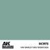 RAF Barley Grey BS381C/626 17ml - Real Color RC973 - AK Interactive