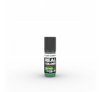 AMT-12 Dark Grey 17ml - Real Color RC978 - AK Interactive