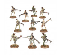 Warhammer 40,000 T'AU Empire: Kroot Carnivore Squad