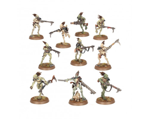 Warhammer 40,000 T'AU Empire: Kroot Carnivore Squad