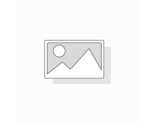 SWITCH Pokémon Shield