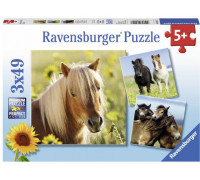 Ravensburger Puzzle 3x49 Kochane Konie (080113)