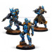 Infinity: Kestrel Expansion Pack Gamma - EN