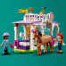 LEGO Friends™ Horse Training (41746)