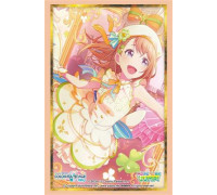 Bushiroad Sleeve Collection HG Vol.5038 (75 Sleeves)