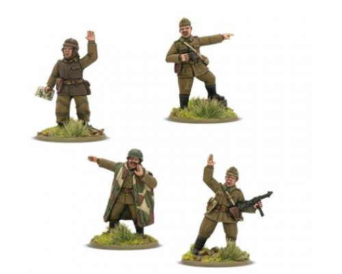 Hungarian Army Platoon Commanders