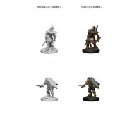 D&D Nolzur’s Marvelous Miniatures: Human Male Paladin - EN