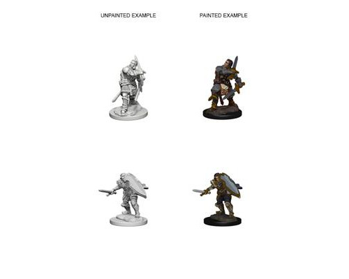 D&D Nolzur’s Marvelous Miniatures: Human Male Paladin - EN