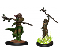 D&D Nolzur's Marvelous Miniatures: Human Druid Female