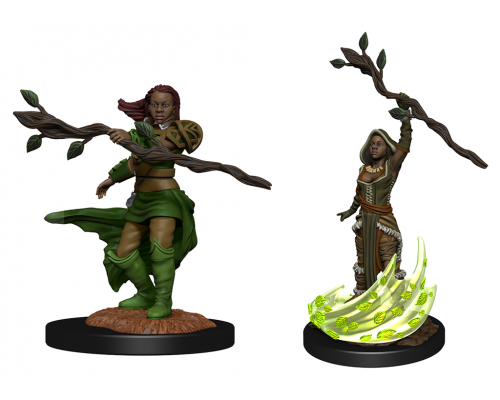 D&D Nolzur's Marvelous Miniatures: Human Druid Female