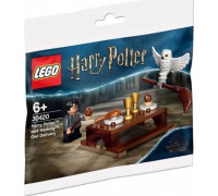 LEGO Harry Potter™ Harry Potter and Hedwig Owl Delivery (Polybag) (30420)