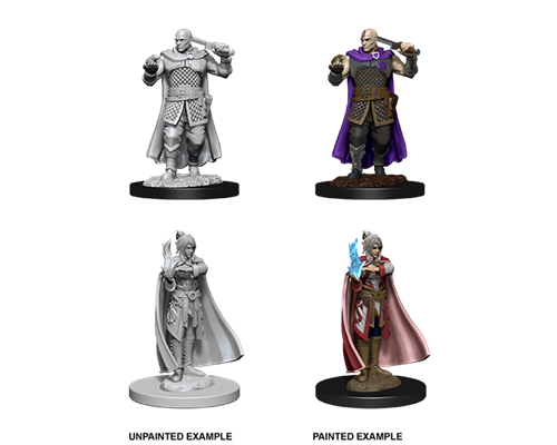 D&D Nolzur's Marvelous Miniatures - Human Ranger & Moon Elf Sorcerer