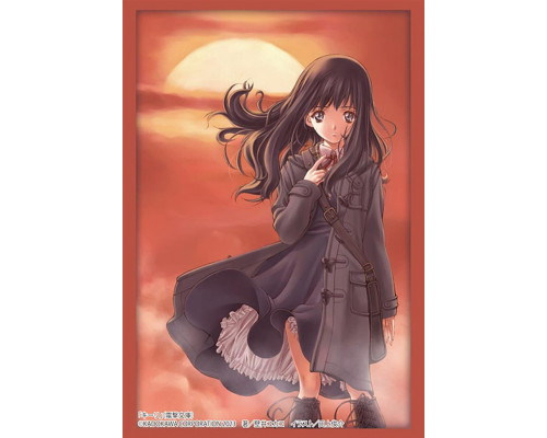 Bushiroad Sleeve Collection HG Vol.43145 Dengeki Bunko (75 Sleeves)