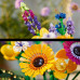 LEGO Icons™ Wildflower Bouquet (10313)