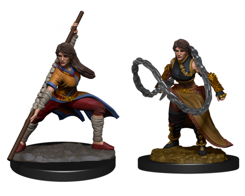 D&D Nolzur's Marvelous Miniatures: Human Monk  Female