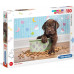 Clementoni Puzzle 180 elementów Lovely Puppy