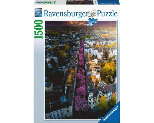 Ravensburger Puzzle 1500 elementów Bonn. Germany