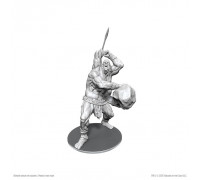 D&D Nolzur's Marvelous Miniatures: B'rohg