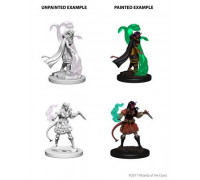 D&D Nolzur's Marvelous Miniatures - Tiefling Female Sorcerer