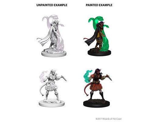 D&D Nolzur's Marvelous Miniatures - Tiefling Female Sorcerer