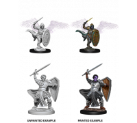D&D Nolzur’s Marvelous Miniatures: Aasimar Male Paladin