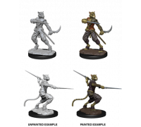 D&D Nolzur's Marvelous Miniatures - Male Tabaxi Rogue