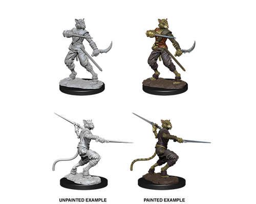 D&D Nolzur's Marvelous Miniatures - Male Tabaxi Rogue