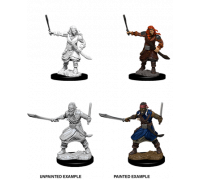 D&D Nolzur's Marvelous Miniatures - Bandits