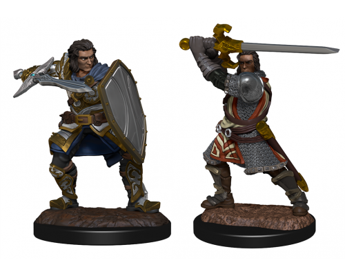 D&D Nolzur's Marvelous Miniatures: Human Paladin Male - EN