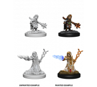 D&D Nolzur's Marvelous Miniatures: Female Gnome Wizard