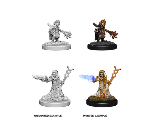 D&D Nolzur's Marvelous Miniatures: Female Gnome Wizard