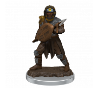 D&D Icons of the Realms Premium Figures: Male Human Fighter