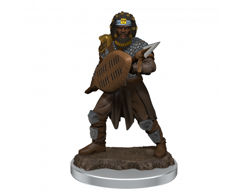 D&D Icons of the Realms Premium Figures: Male Human Fighter