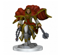 D&D Nolzur's Marvelous Miniatures: Aasimar Cleric Male