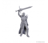 D&D Nolzur's Marvelous Miniatures: Blackguard
