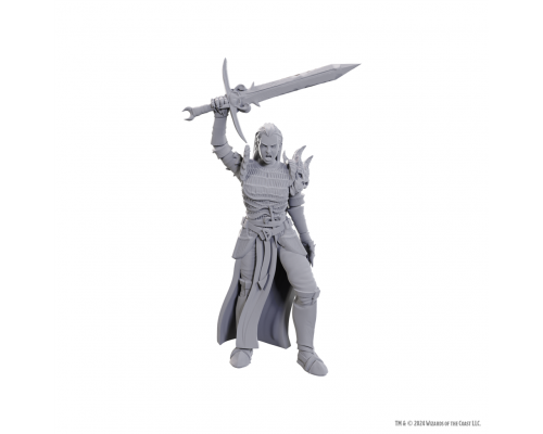 D&D Nolzur's Marvelous Miniatures: Blackguard