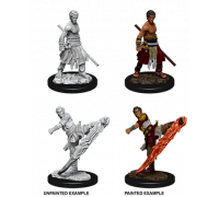 D&D Nolzur's Marvelous Miniatures - Male Half-Elf Monk