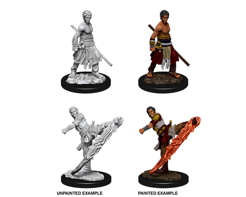 D&D Nolzur's Marvelous Miniatures - Male Half-Elf Monk