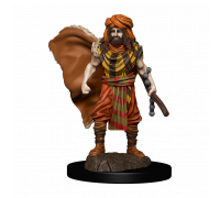 D&D Icons of the Realms: Premium Painted Figure - Human Druid Male