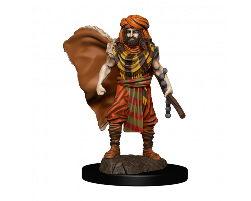 D&D Icons of the Realms: Premium Painted Figure - Human Druid Male